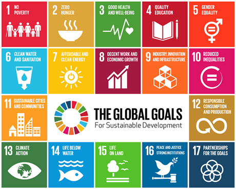 About the Sustainable Development Goals