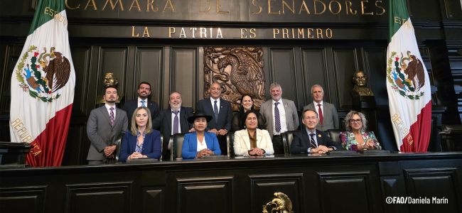 Comienzan los preparativos hacia el I Foro Parlamentario Iberoamericano y Caribeño por la Seguridad Alimentaria – México 2025