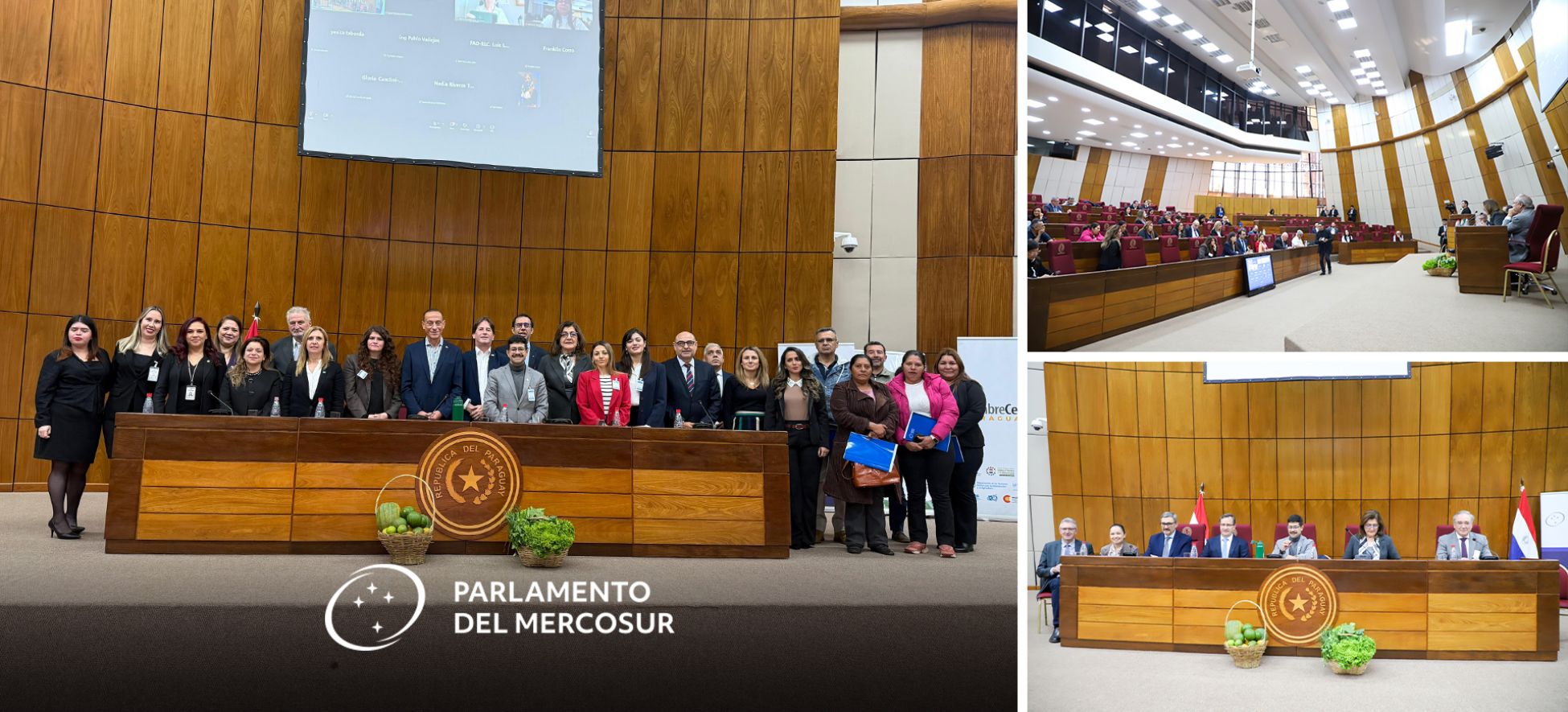 En el Año de la Agricultora: Parlasur celebra Audiencia Pública Regional para empoderar a la mujer rural